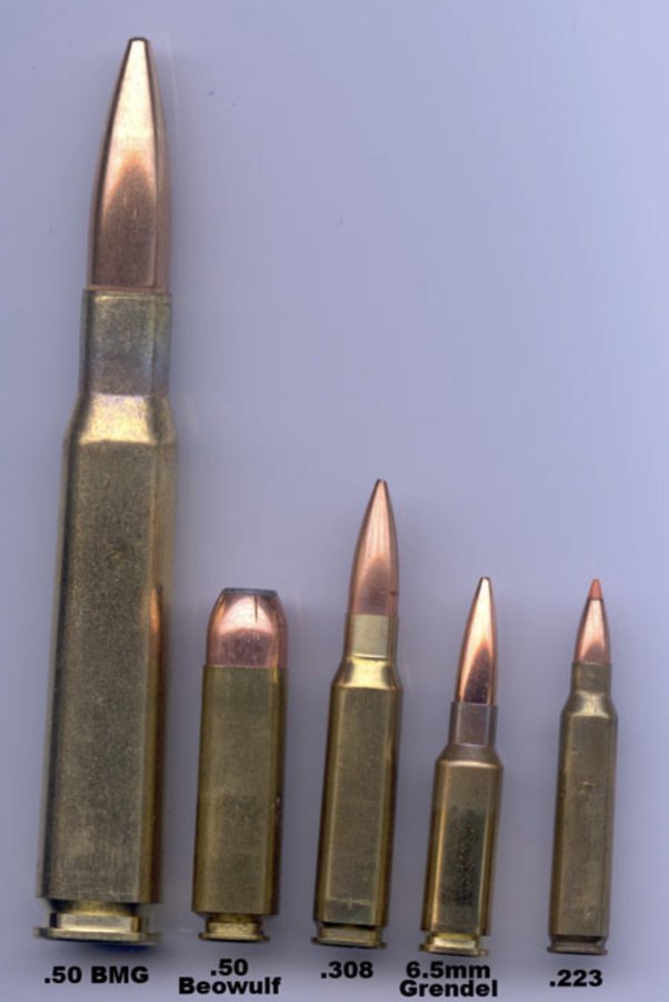 Various Sizes of Ammo