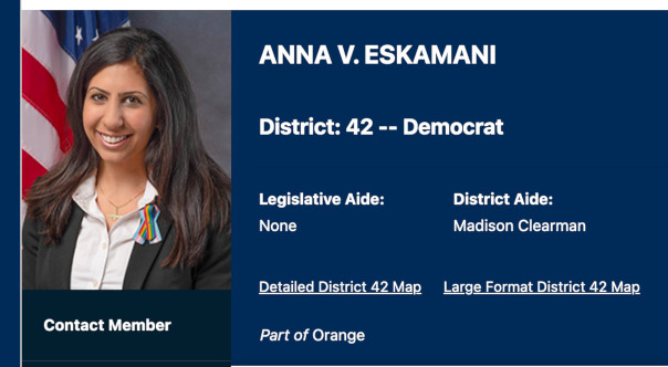 Anna Eskamani House Profile