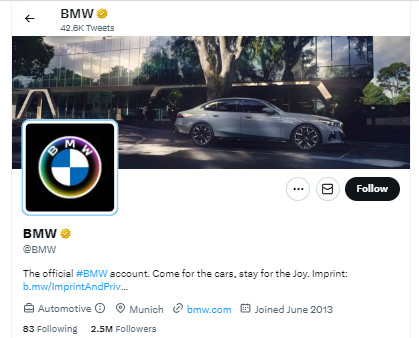 BMW Pride Logo